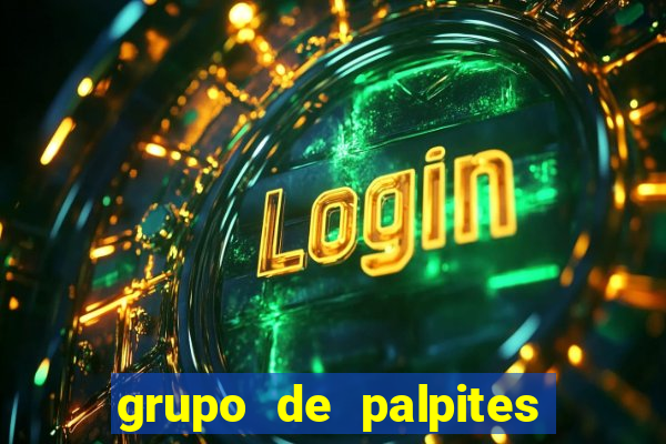 grupo de palpites de futebol whatsapp